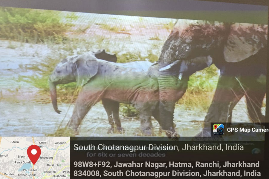 class image
